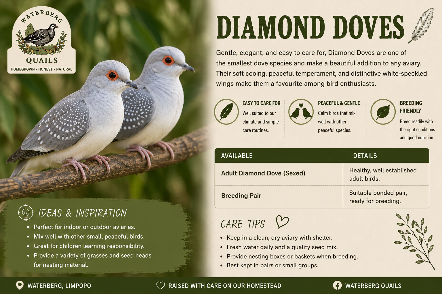 ChatGPT Image Jul 17, 2026, 07_13_02 PM